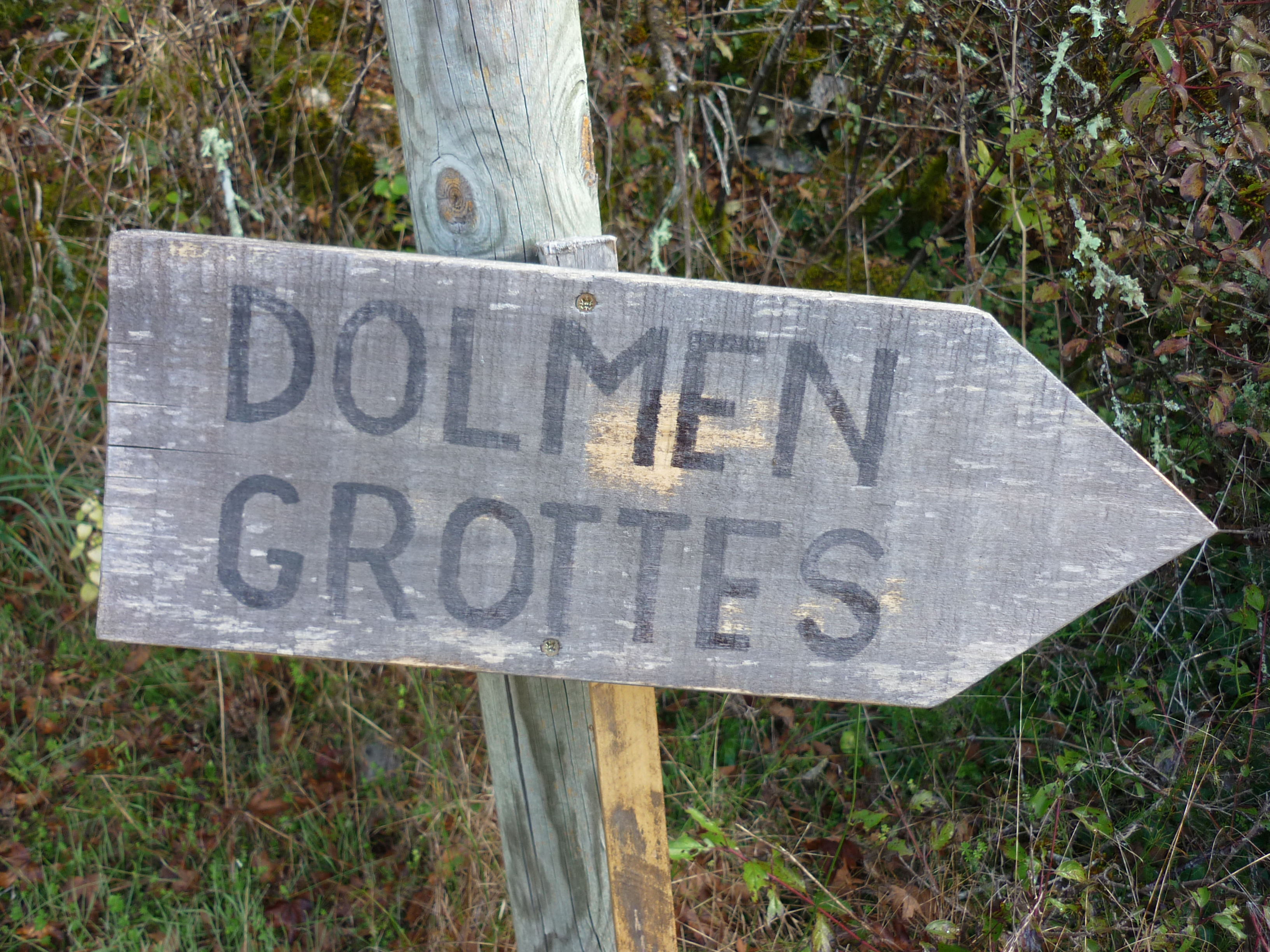 sign.jpg